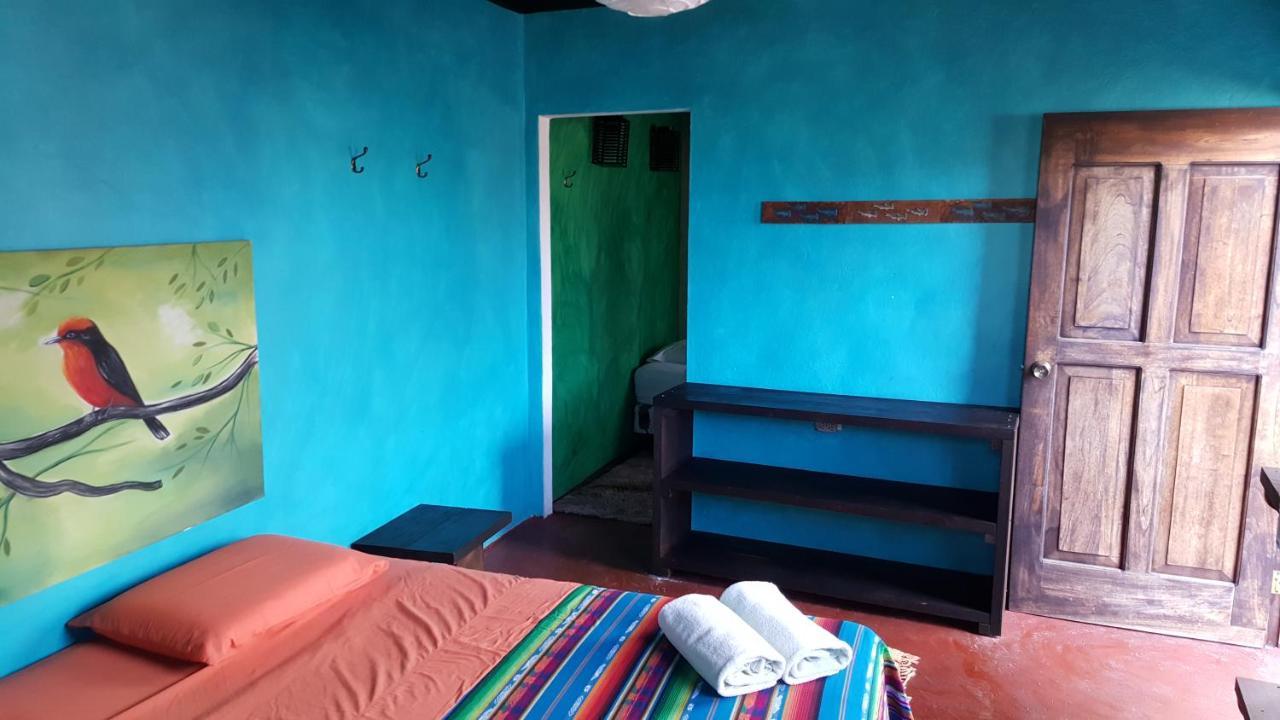 بيت شباب Galapagos Morning Glory بويرتو أيورا المظهر الخارجي الصورة